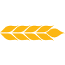 ANDE logo