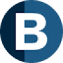 BAM logo