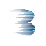 BDN logo