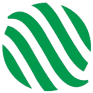 BDSX logo