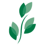 BKD logo