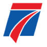 BSVN logo