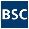 BSX logo