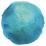 COO logo