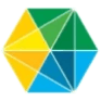 CTRI logo