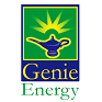 GNE logo