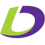 LDI logo