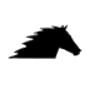 NSC logo
