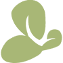 ORC logo