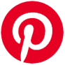PINS logo