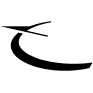 R logo
