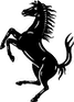 RACE logo
