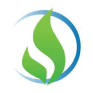 SLNG logo