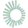 SLNO logo