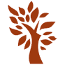 SLXN logo