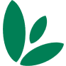 SMG logo