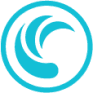 SNX logo