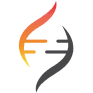 STOK logo