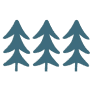 TWFG logo