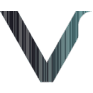 VSEC logo