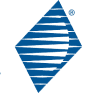 WST logo